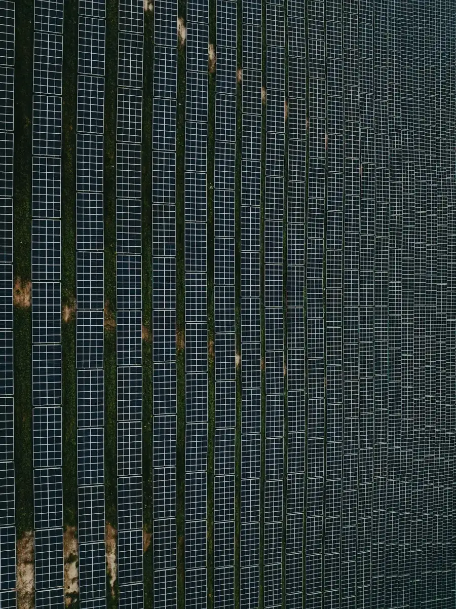China Solar Dominance: What the Share Numbers Actually Mean